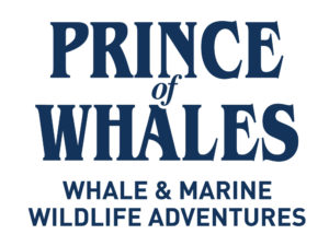 Prince of Whales